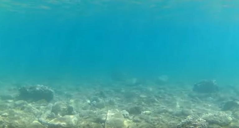 Κορινθία: Βούτηξε και είδε αυτές τις εικόνες που θα θυμάται για πάντα – Ο τολμηρός κολυμβητής (βίντεο)